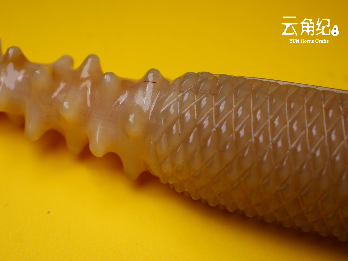 Sea Cucumber Gua Sha Massage Rolle海参棒刮痧桶