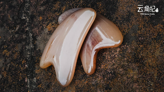 Buffalo Horn Gua Sha Board白水刮痧板