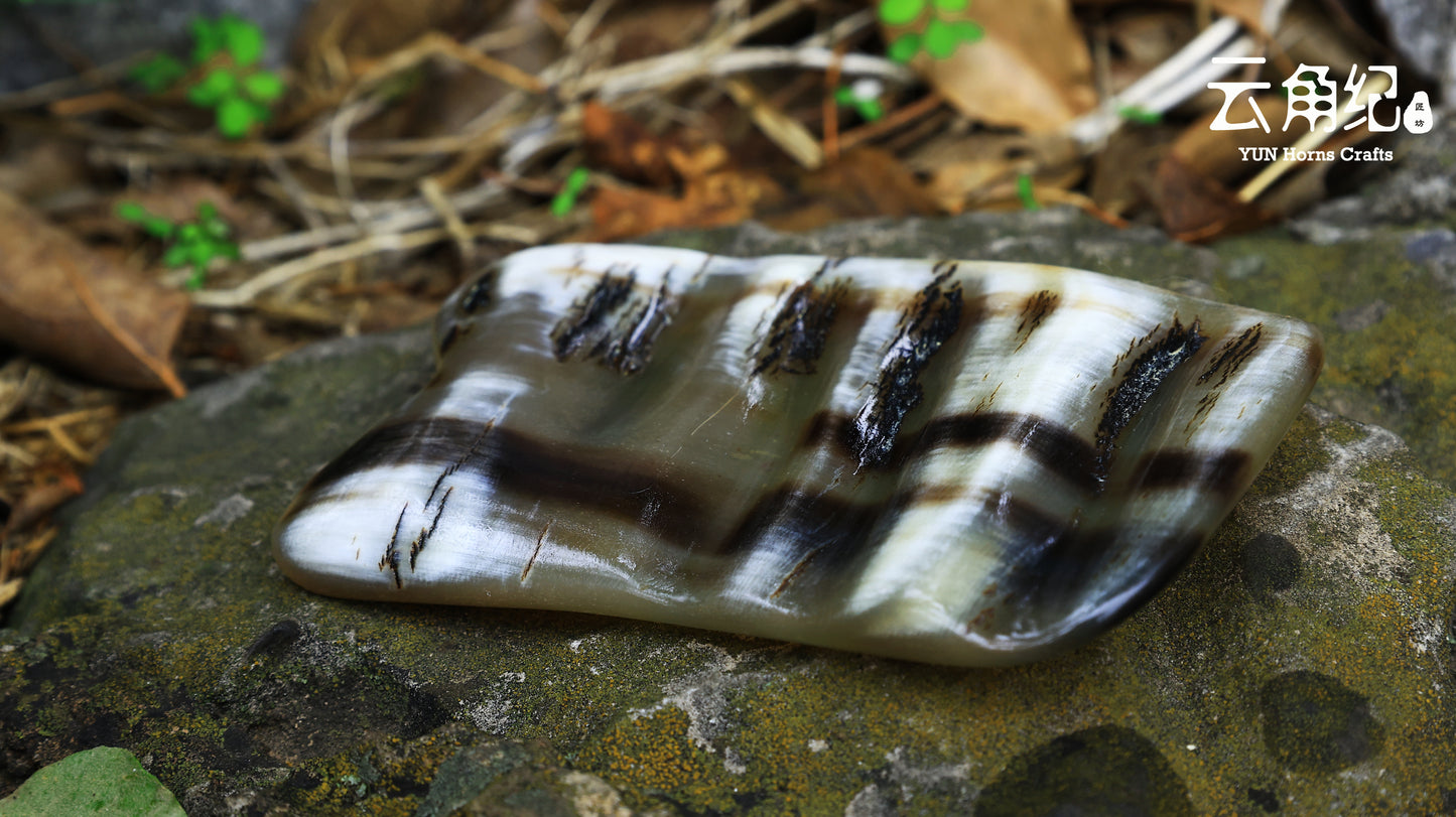 TCM Horn Body Gua Sha Board原生角皮身体刮痧板